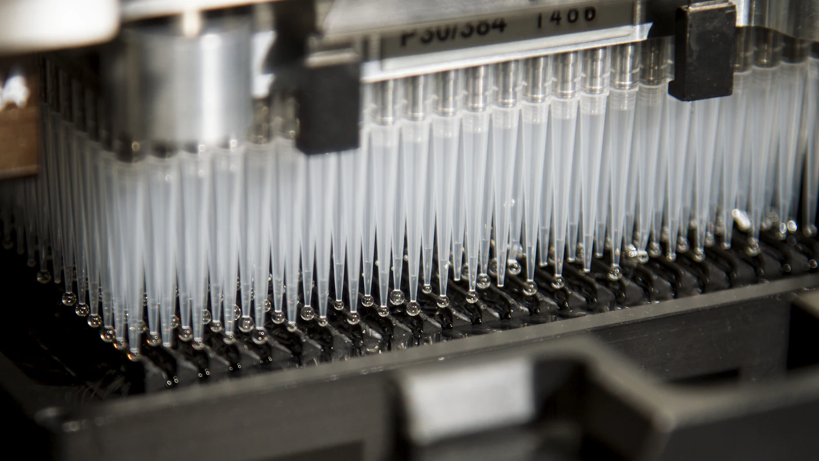 The pipetting head of an automated analyzer over a rack of tips