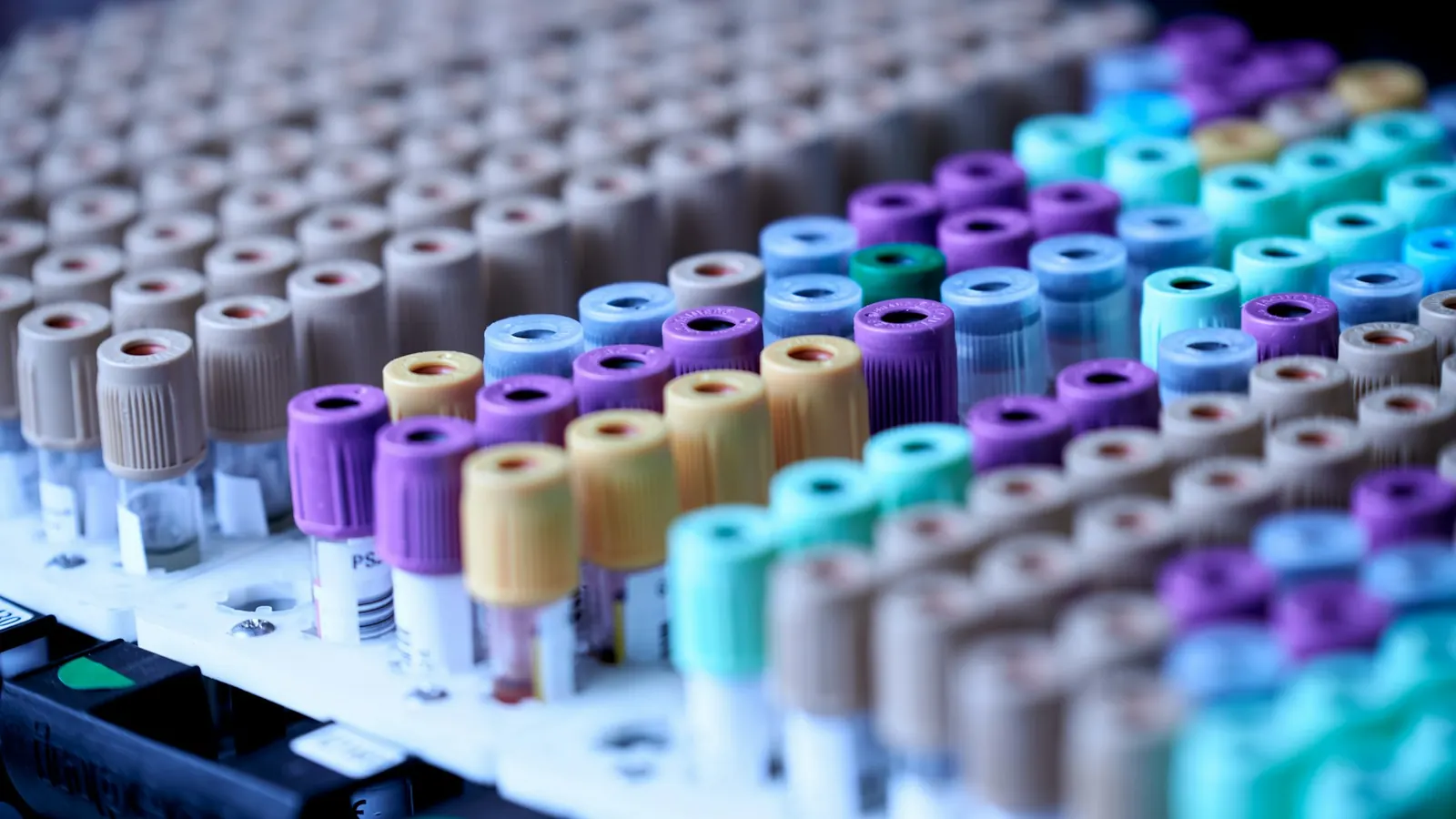 Blood collection tubes in a laboratory rack